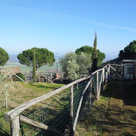 Locanda Mossa Dei Barbari Buriano  Ngoại thất bức ảnh